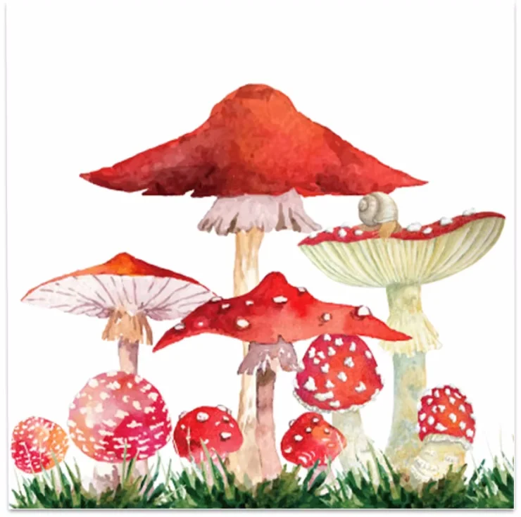 Red Mushroom Party Disposable Tableware Sets Paper Plates Cups Napkins Party Dinnerware Decor