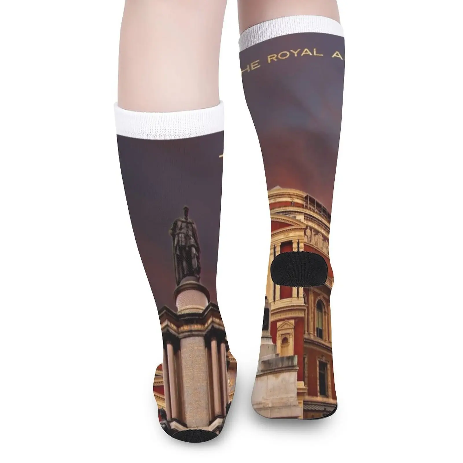 The Royal Albert Hall, London Socks Men's socks with print compression socks men Women's short socks