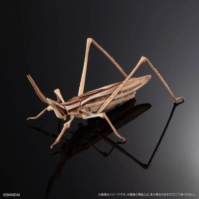 Bandai Original Gashapon Creature Encyclopedia:Dead Leaf Mantis
