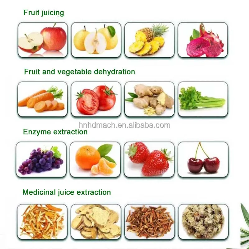 Mesin Pembuat Jus Ekstraksi Daun Gandum, Mosambi, dan Moringa dari Baja Anti Karat Industri