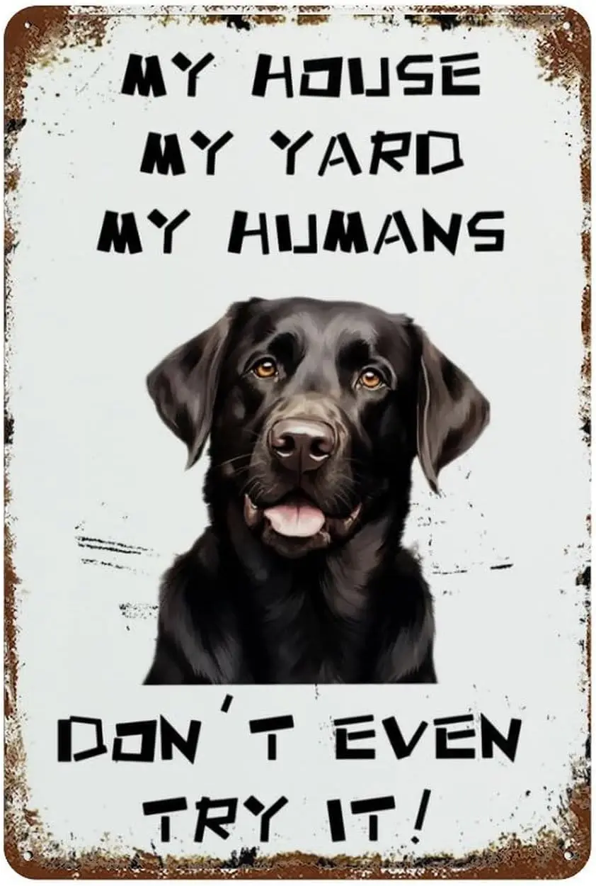 Tin Signs Retro Labrador Retriever My House My Yard My Humans Pet Dog Funny Tin Signs Man Cave Pub Club Home Wall Decoratio sign