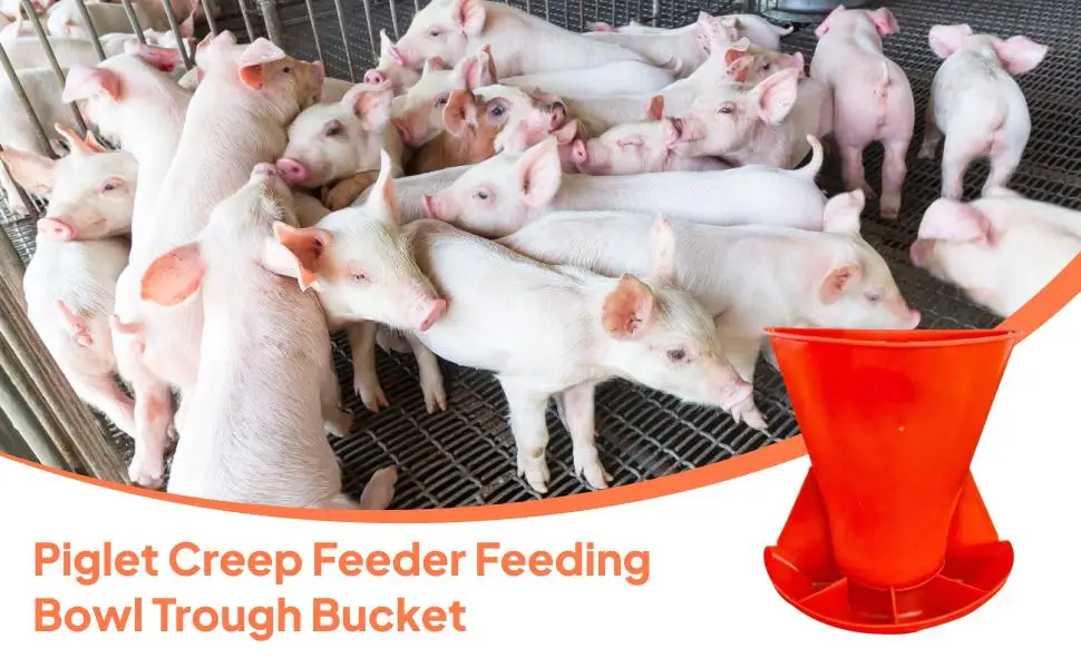 Piglet Feeding Trough PP Wall Mount Feeder Slot Food Bowl Animal Dish for Piglets and Small Animal Equipment