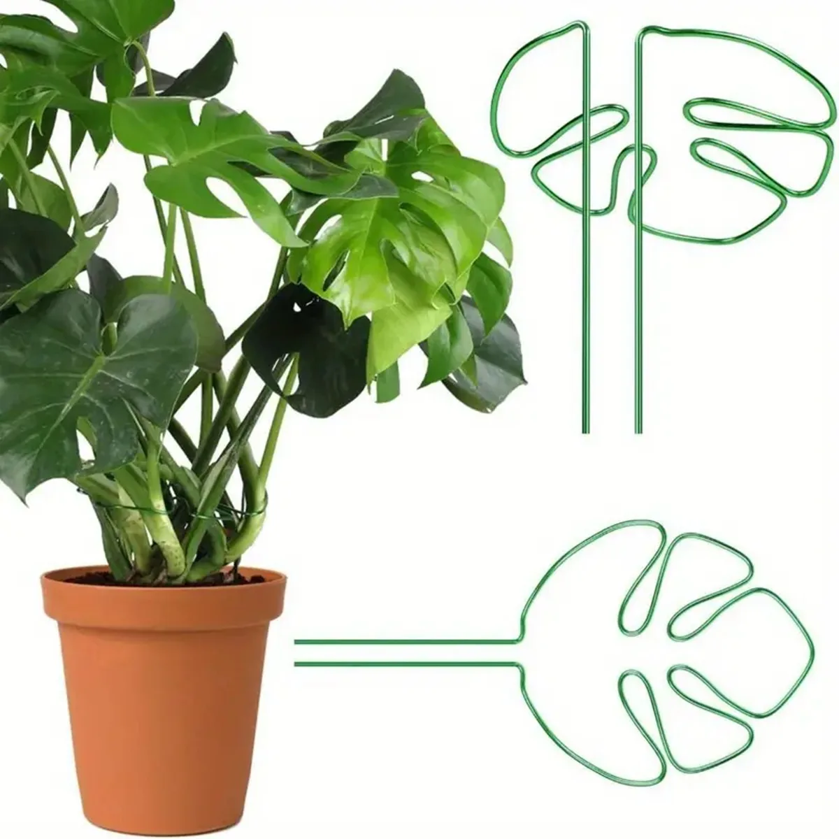 Support pour plantes Monstera en fer, 2 pièces, piquets de Support Stable pour plantes d'intérieur, coquille de tortue, ensemble de pinces en bambou pour la croissance prospère