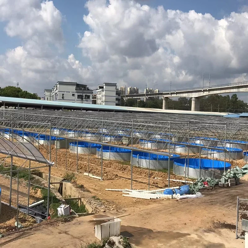 AIROW High-density Industrial Fish Farm Recirculating Aquaculture System Fish Breeding Pond