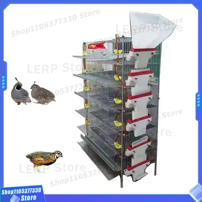 HJ QC400A Automatic Quail Feeder Cage Set for 200 to 300 Birds Poultry Farming Equipment Large Capacity Breeding House System