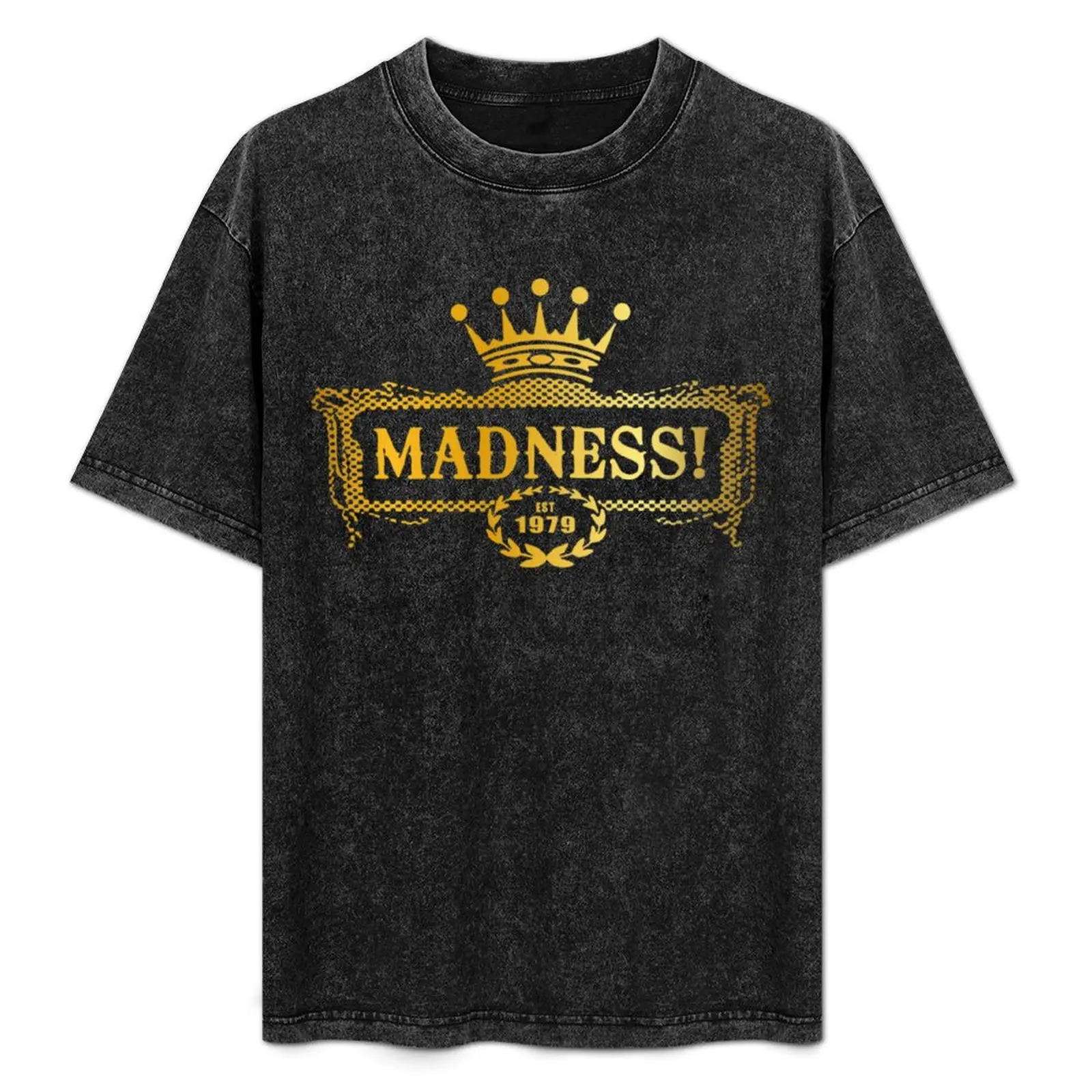 Establish 1979 The madness retro band gift for fans T-Shirt oversized t shirt rapper graphic tees anime tshirt mens clothes