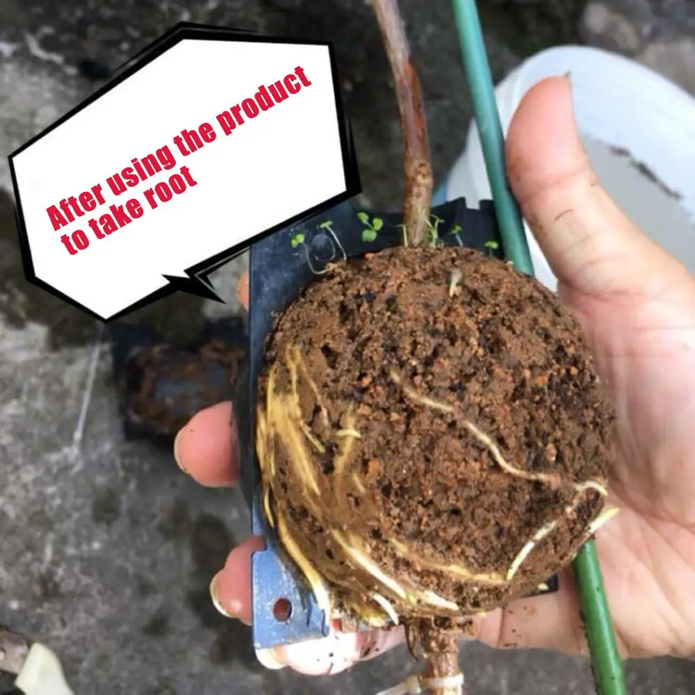 Propagation Ball Botany Root Controller Plastic Breeding Case High Pressure Incubator Growing Box Grafted Tree Rooting Ball