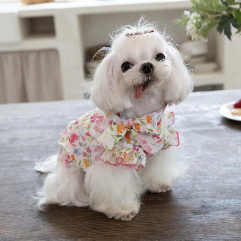 Pet Clothes Dog And Cat Cute Thin Spring Summer Dress Chihuahua Maltese Teddy Apperal - view 3