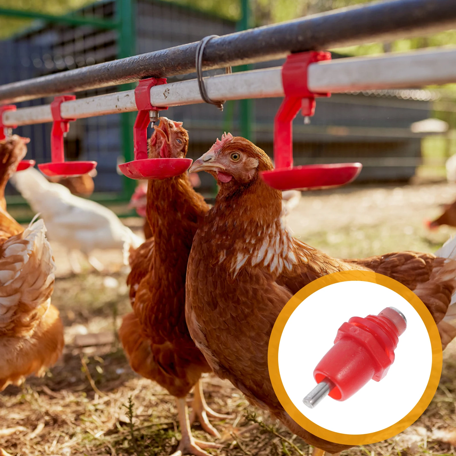 

20pcs Chicken Waterer Nipples Automatic Poultry Drinking System For Bucket Chickens Ducks Quail Farm Supplies Waterer