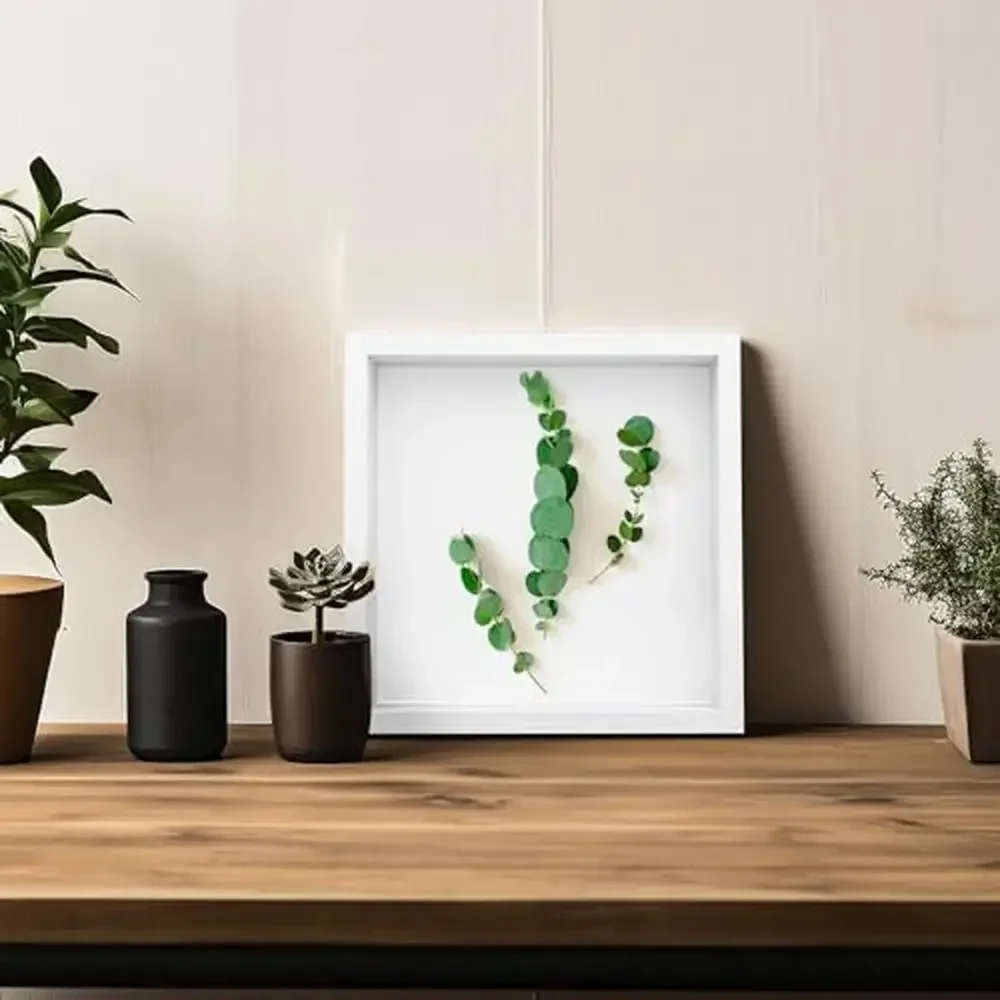 Vetrina per scatola ombra in legno profondo 12x12 Confezione da 4 finestre in plexiglass Cornice 3D Memorabilia Artigianato fai-da-te essiccato Casa versatile
