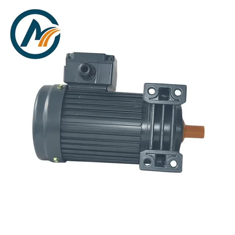 Low Rpm CH 1500W 220V 380V 415V AC Small Electric Motors With Gearbox