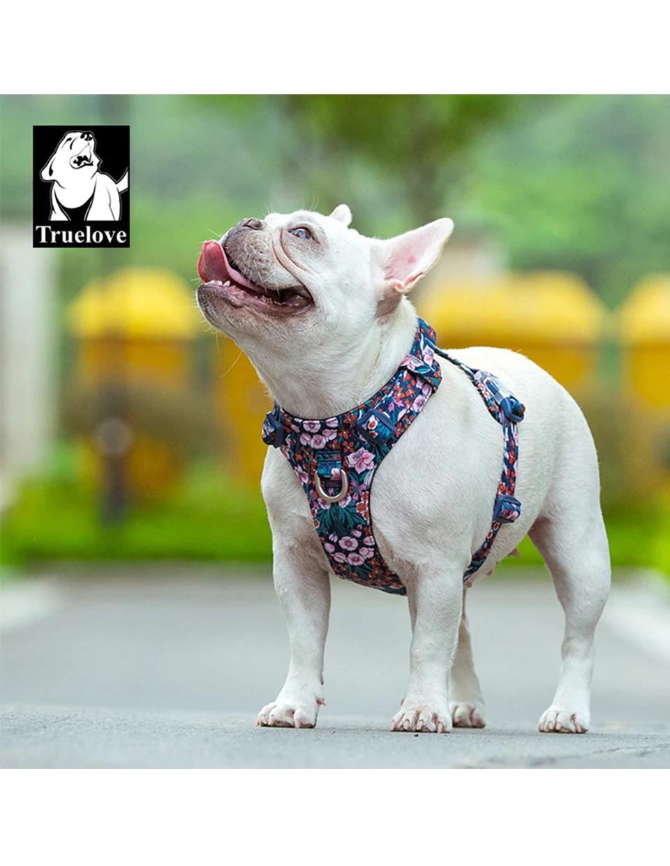 Truelove Pet Harness Pure Cotton Floral Print Detachable Chest Strap Suitable For Large Medium and Small Dogs TLH6283