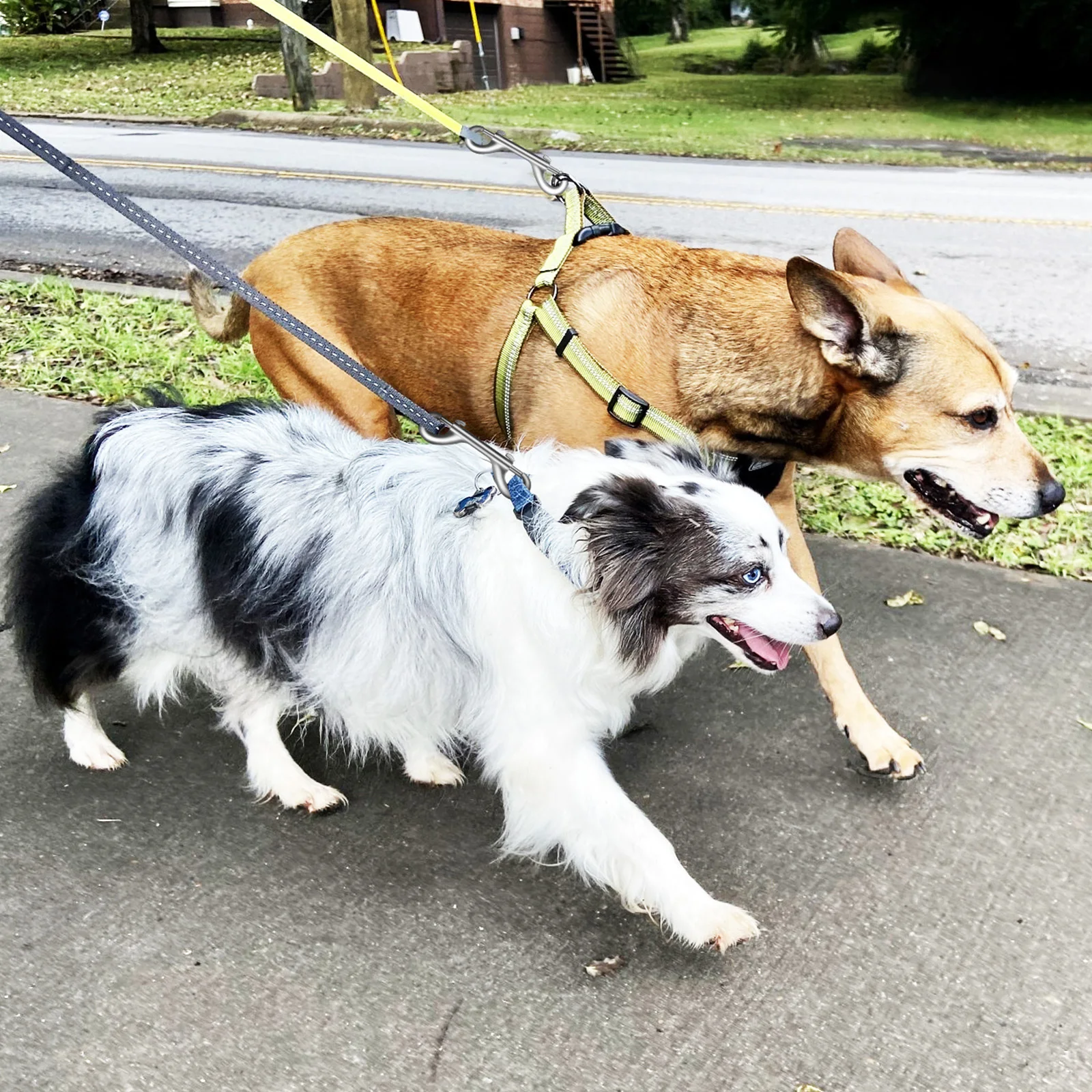 

6Pcs Pet Snap Hooks Double Ended Bolt Snaps Dog Leash Clips Key Chain Clips Durable Trigger Snap Hooks Double Ended Snaps