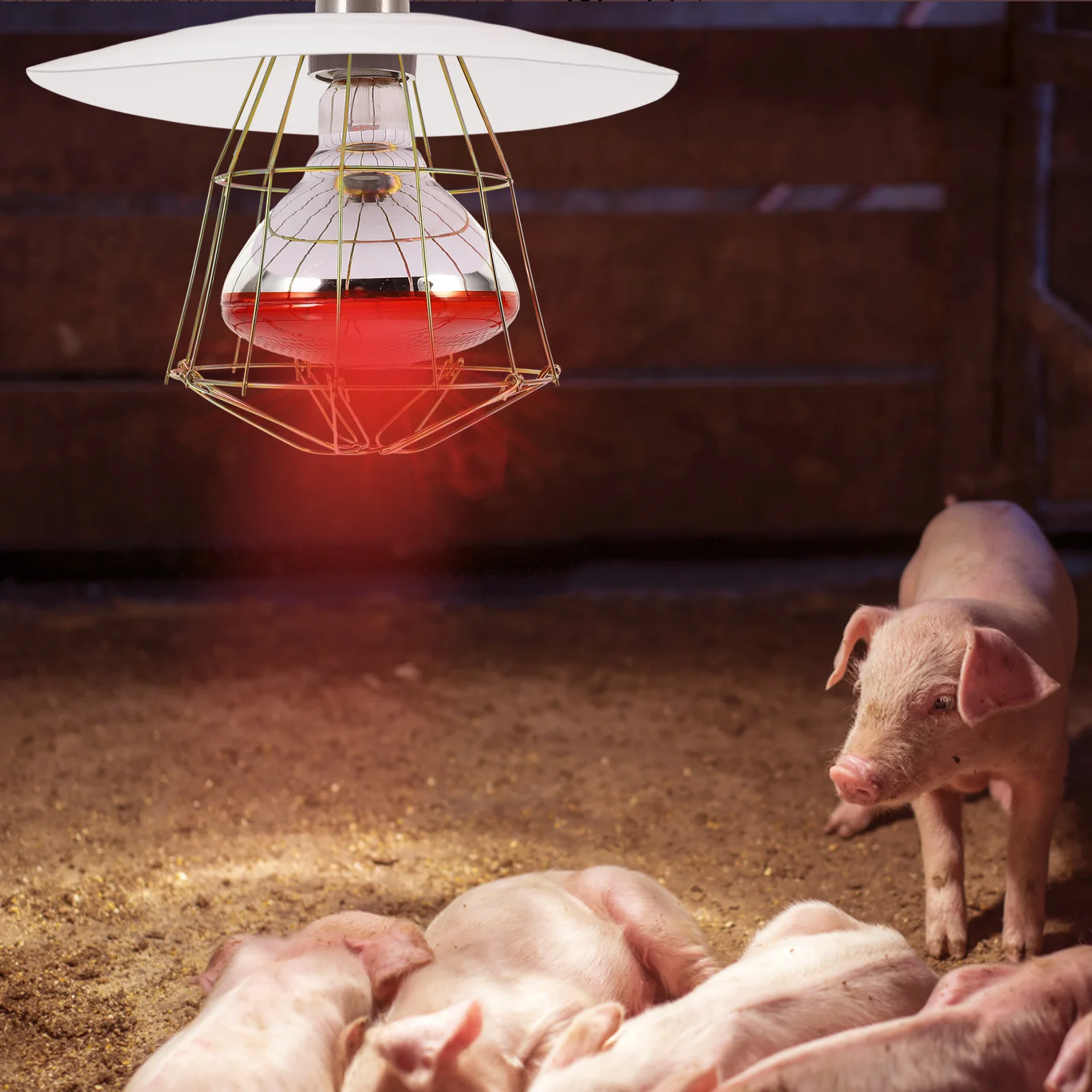 

1pc Metal Heat Lamp Shade For Chicken Coop Reptile Tank Accessories Farm Heating Supplies