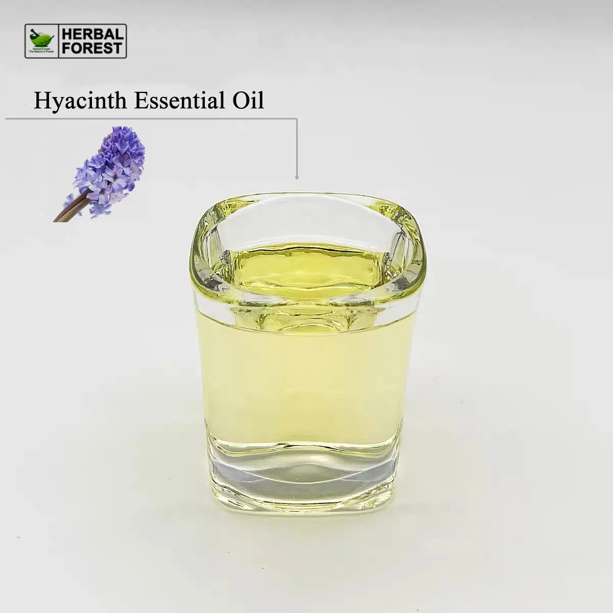 Hyacinth Essential Oil Long Lasting Diffuser Oils, Delightful Essential Oils, Relaxing Spring & Natural Aromatherapy Massage Oil