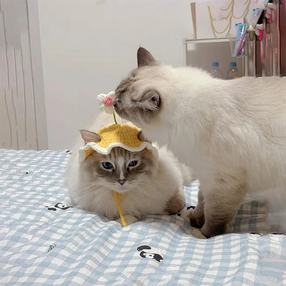 Adorable sombrero para el sol para mascotas con orificios para las orejas: diseño de algodón ajustable para perros y gatos, comodidad de protección solar