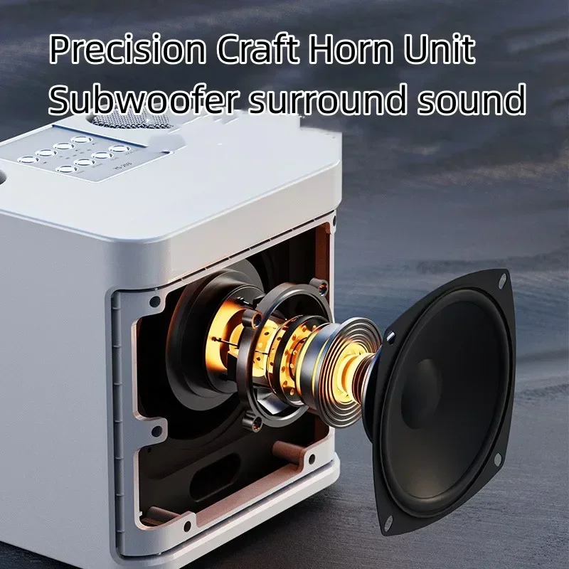 نظام كاريوكي منزلي مكبر صوت بلوتوث لاسلكي مع ميكروفون مزدوج، صوت محيطي عالي الطاقة، مركز موسيقى مع TF USB