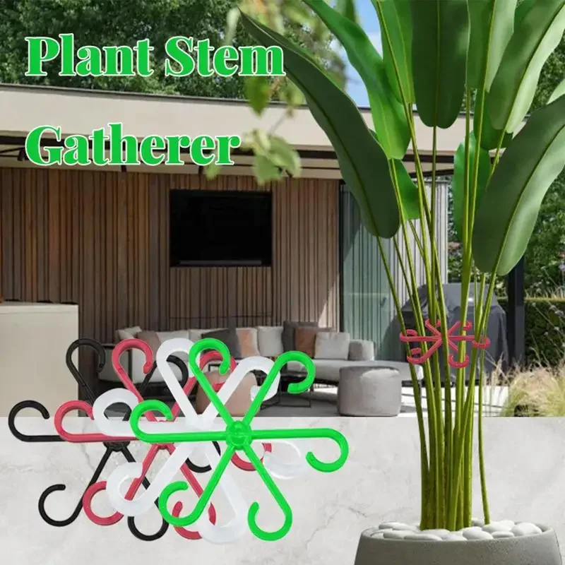 Climbing Plants Support Clips Flower stem collection Fixing rack Climbing support frame for Climbing Alocasia Monstera Vine