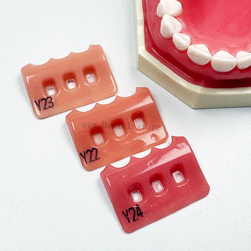 Gingiva Indikator Gum Color GuideDental Gumy Gingival Color Plate Indicator Tri-Color Kit Y22/Y23/Y24 Similar SHOFU