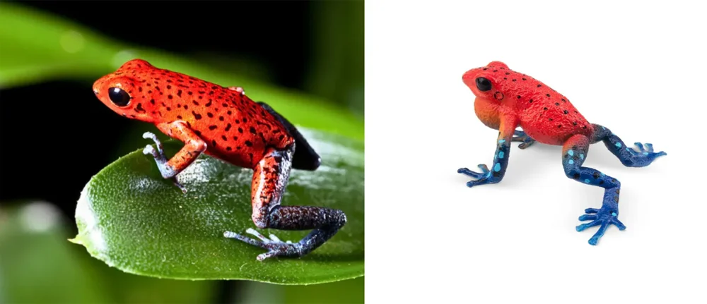 Toymany Simulation Erdbeere Frosch Reptil Reich Tier Modell Spielzeug Mini Figuren Puppen Action Figuren Spielzeug Kinder – Detail 11