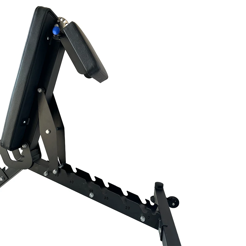 Multifunctional custom Capacity Gym Dumbbell Bench Headrest /Seat /Backrest Adjustment Minus 15 Degrees Decline Training Bench