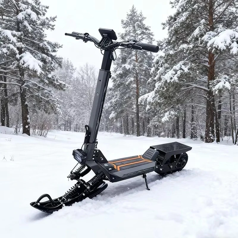 

All-terrain electric scooter, 48V20Ah battery and 100kg load, 3-speed snowmobile for snow and road