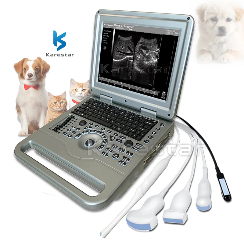 

Best Price CE Veterinary Ultrasound Scanner Animal Pet Clinic Portable Vet Ultrasound