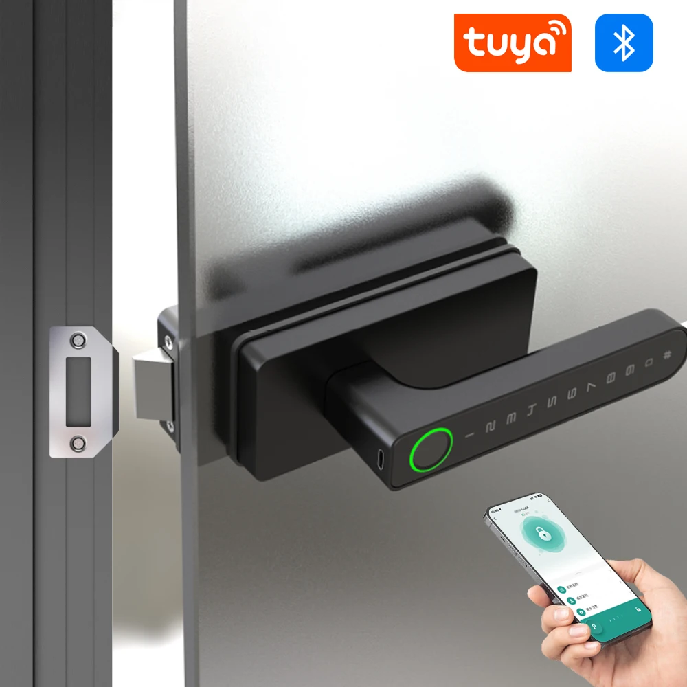 Tuya Smart Aluminum Alloy Globular Door Knobs Lock Rotation Knobset Handle Metal Glass Lock With Key App For Bedroom Living Room