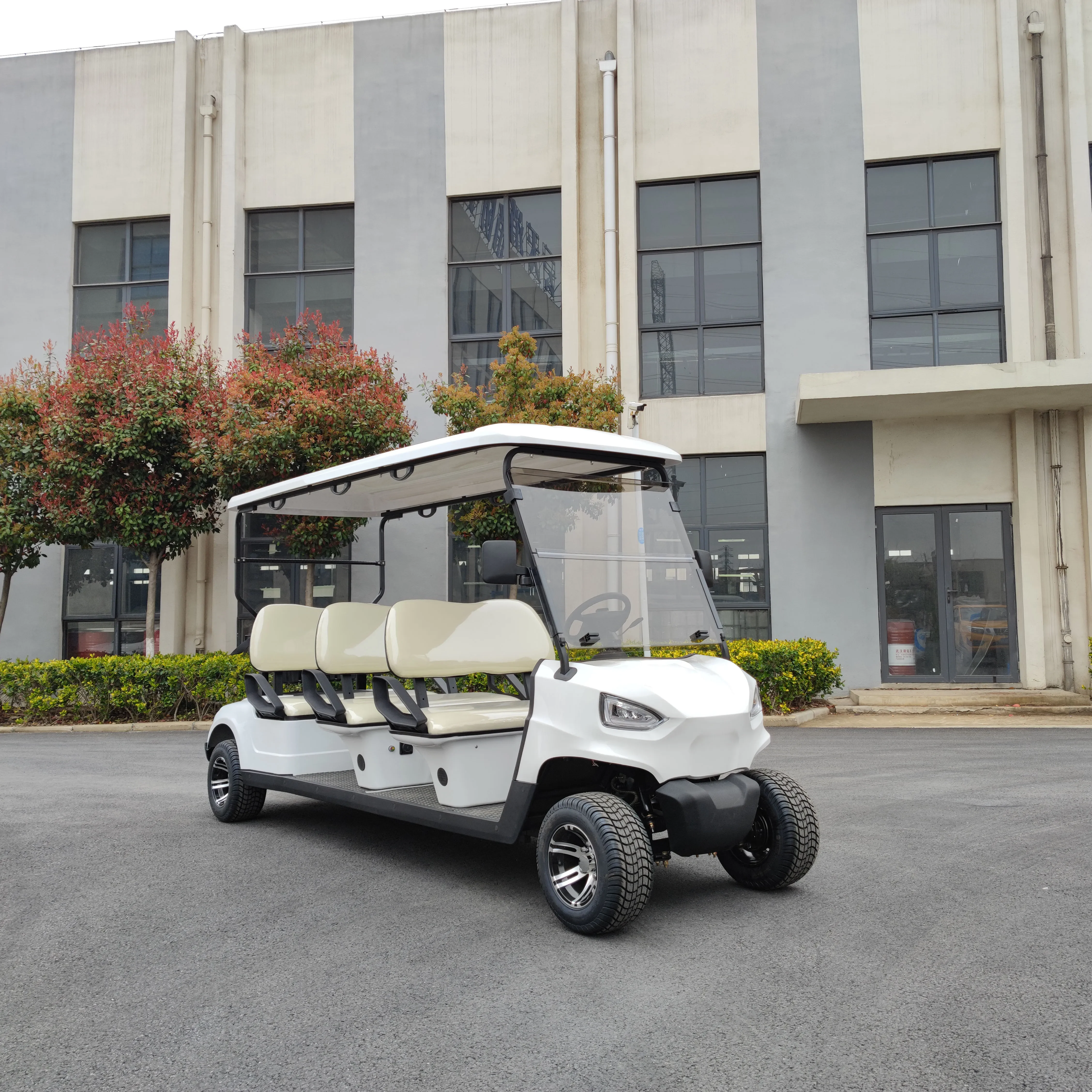 electric 6 person golf cart on sale