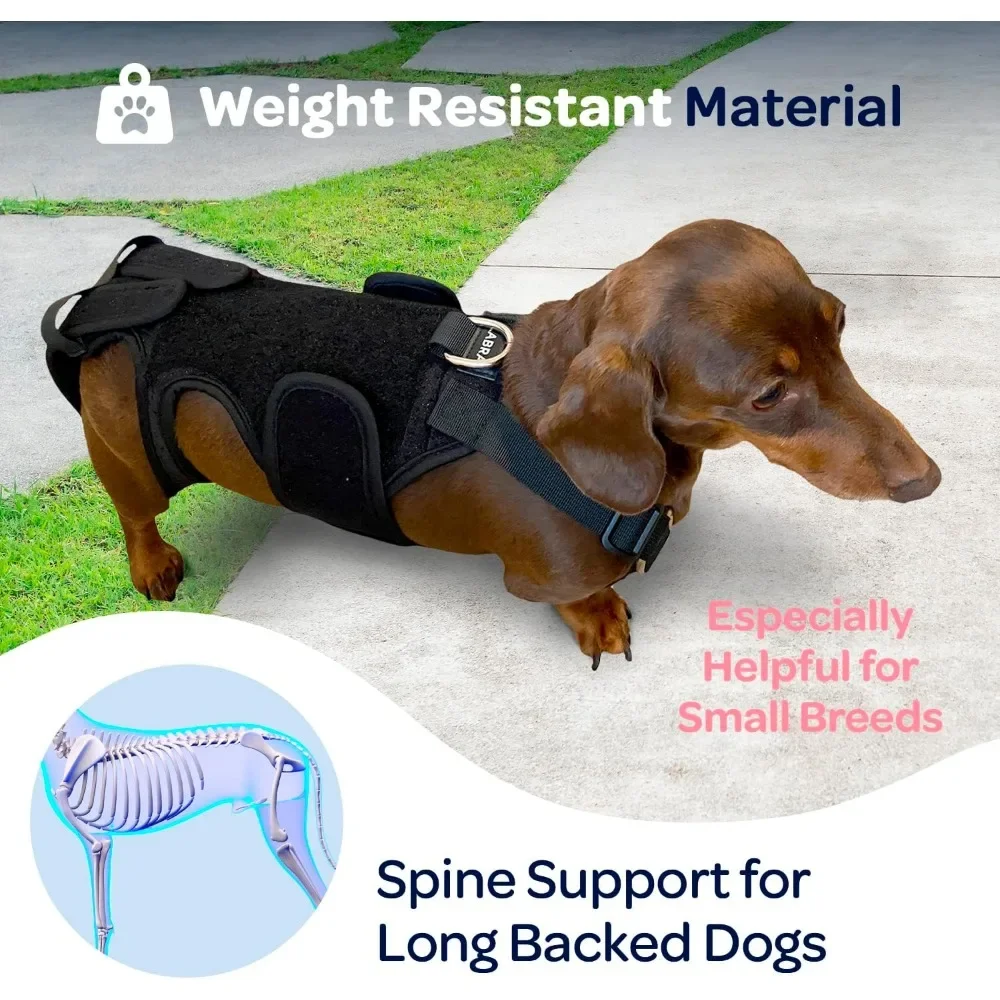 Dog Canine Back Brace - IVDD Spine Pain, Arthritis, Bulging Discs Brace for Surgery Recovery,Inflammation,Back support