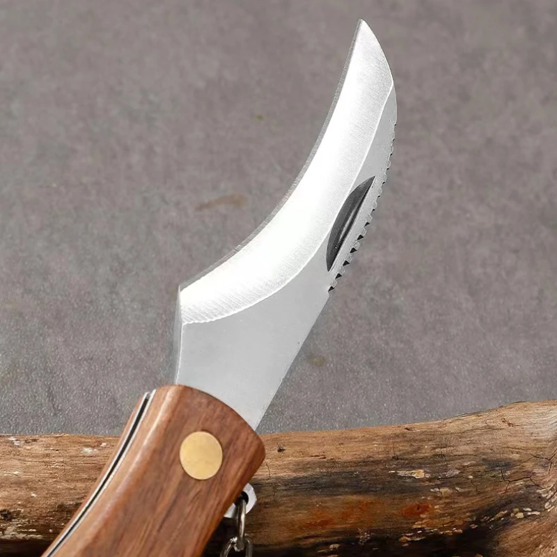 Outdoor tool with wooden handle pocket knife, multifunctional folding survival knife, camping and barbecue tool knife with brush