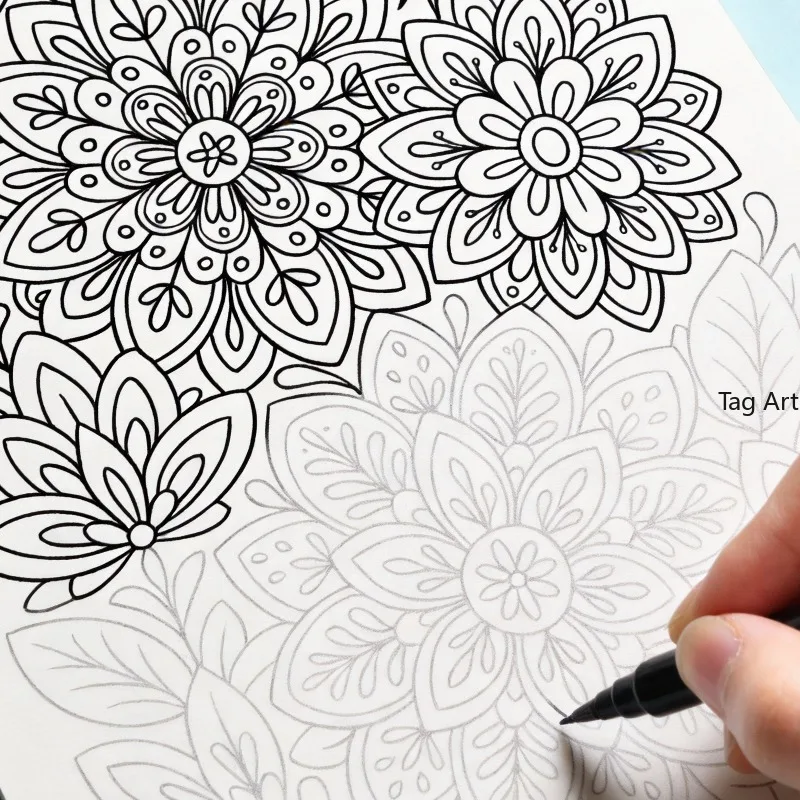 An Adult Stress Relieving Copying and Coloring Picture Book with Lines and Graffiti, 24 Themes Such As Flowers/birds/mandalas