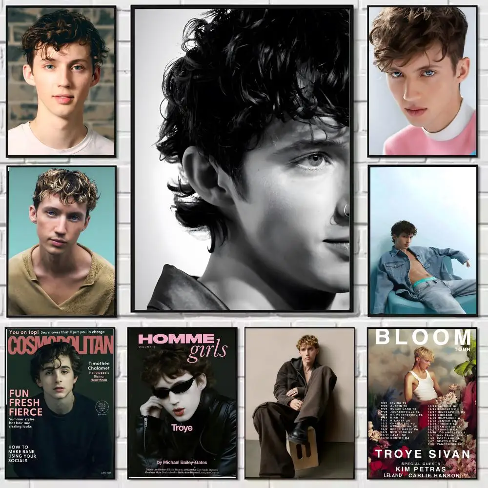 Troye Sivan Paintin…