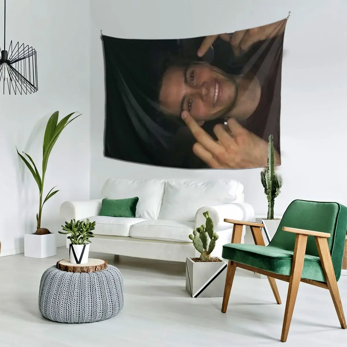 

dylan o’brien middle fingers Tapestry Home Decorations Decor For Room Tapestry