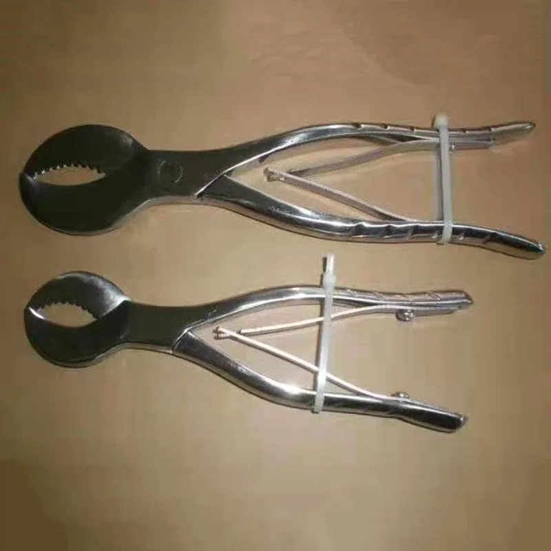 1pcs Lab Plaster Shears, Technical Shears, Stainless Steel Super Anhydrite Shears, Plaster Pliers s