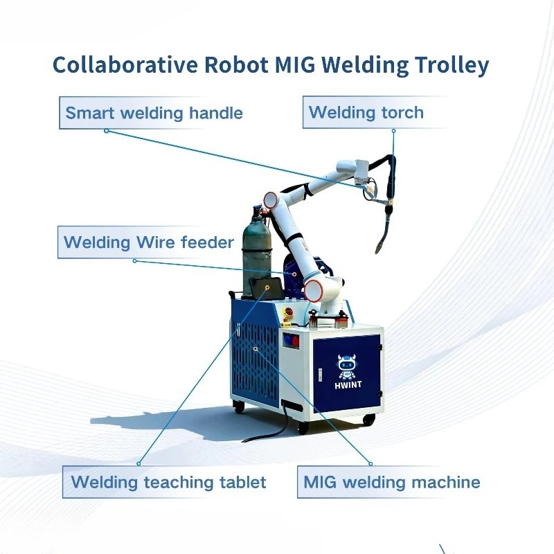 Robot Arm 6 Axis Industrial Robotic Manipulator Intelligent Cobot for CNC Welding Palletizing Spraying ODM Factory Auto