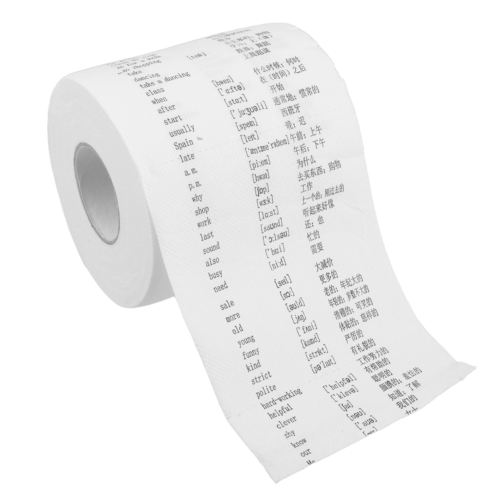 

English Vocabulary Toilet Paper with Symbols for Kids Learning Fun Bathroom Novelty Tissue Roll Stocking Stuffer Quirky Present