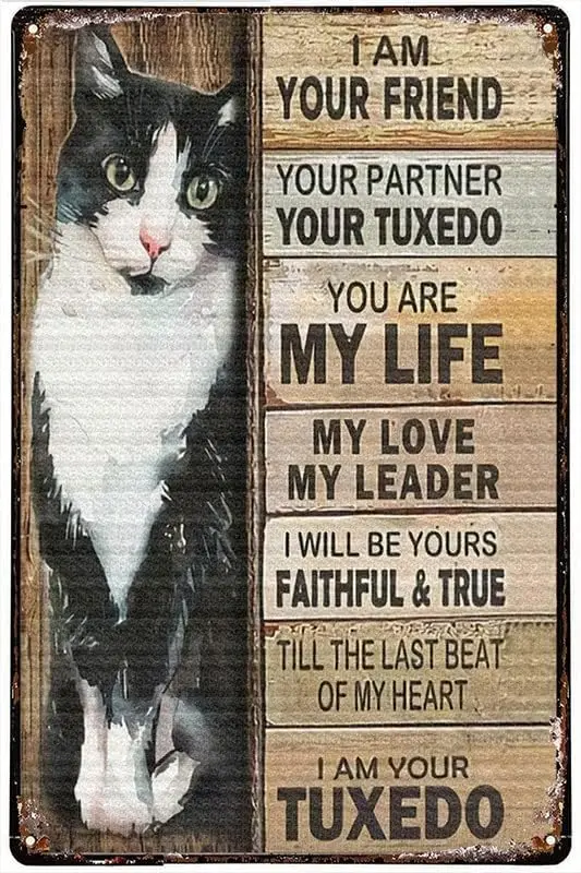 Home Decoration Tin Signs Cat I Am Your Friend Your Partner Your Tuxedo Cat Tin Signs Indoor ; Outdoor Home Bar Coffee Kitchen W