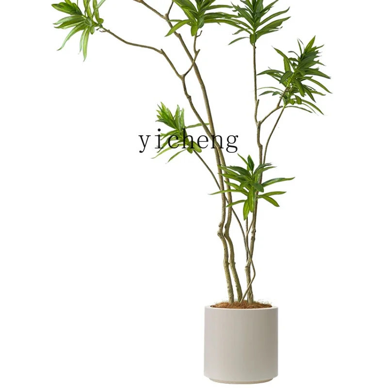 Zf Simulation Lily Bamboo Light Luxury High-end Green Plants Indoor Decoration Plants Potted Plants