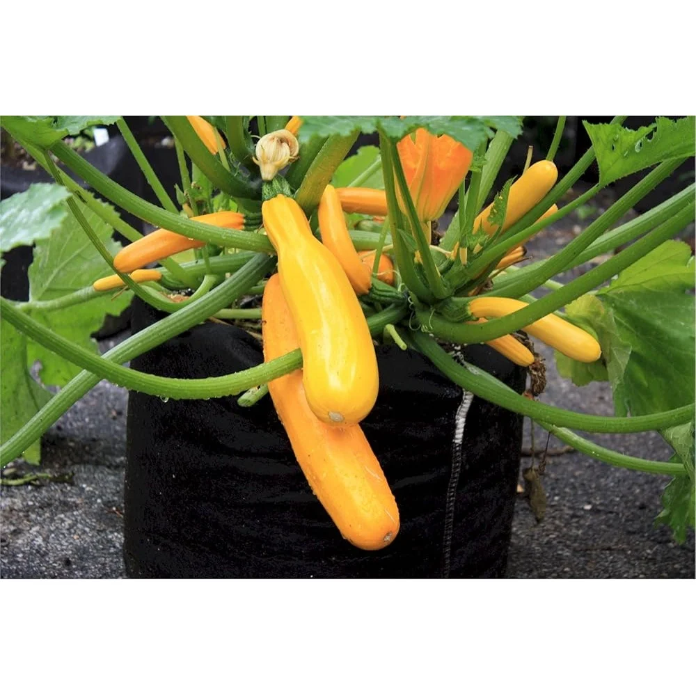 15 Gallon Soft-Sided Aeration Fabric Planter Container with Strap Handles Enhanced Root Growth and Vigorous Plants