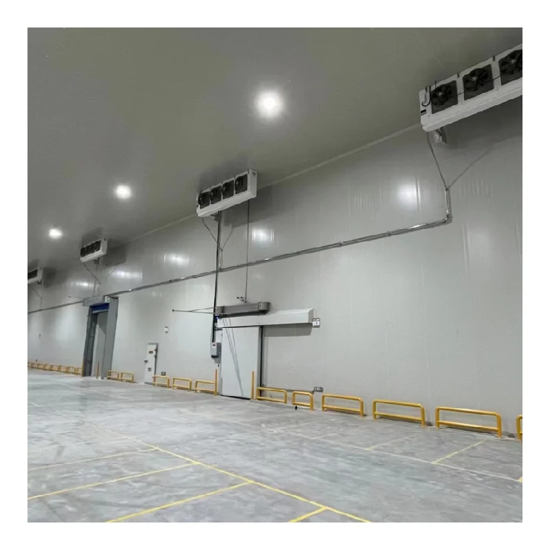 Walk-in Freezer Industrial Cold Storage Plant Unit Food Cool Room Freezer for Meat Seafood Milk Storage
