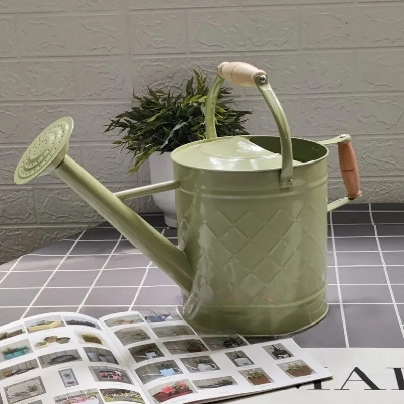Watering Kettle Household Vegetables Growing Flowers Large Watering Kettle Large Capacity Gardening Watering Kettle