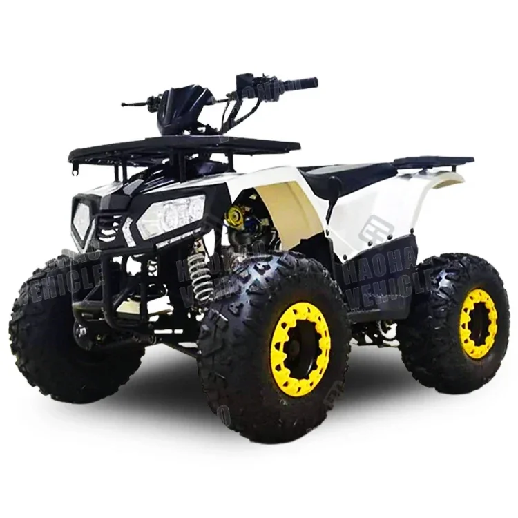 Quad Atv 110cc 125cc Atv 4-stroke Single Cylinder Chain Drive ATV,2WD Automatic Chain Drive