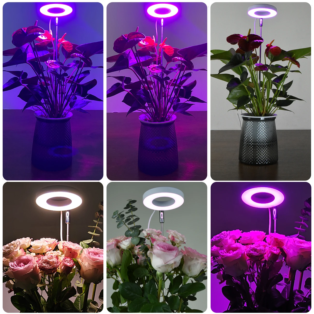 USB عكس الضوء 3 طرق الطيف الكامل تنمو ضوء للنباتات الداخلية الموقت ارتفاع قابل للتعديل الأبيض الدافئ الأحمر والأزرق هالة النبات تنمو مصباح #5