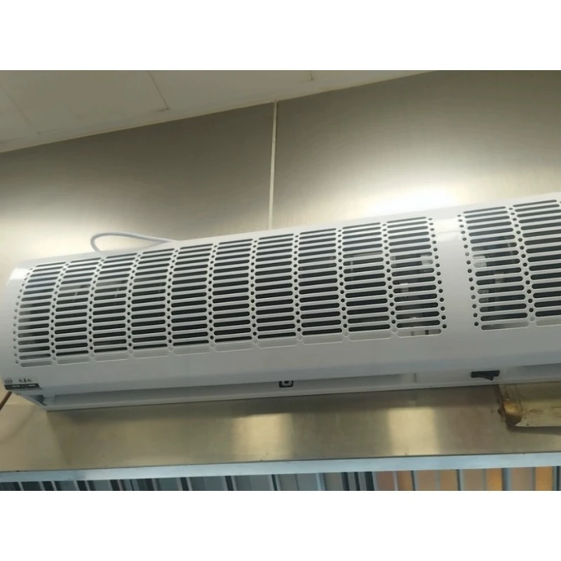 XFZ 2021-06 Air Curtain Machine, Commercial Silent Ultra-thin, Special for Door Cold Storage, Air Curtain Gate Natural Wind