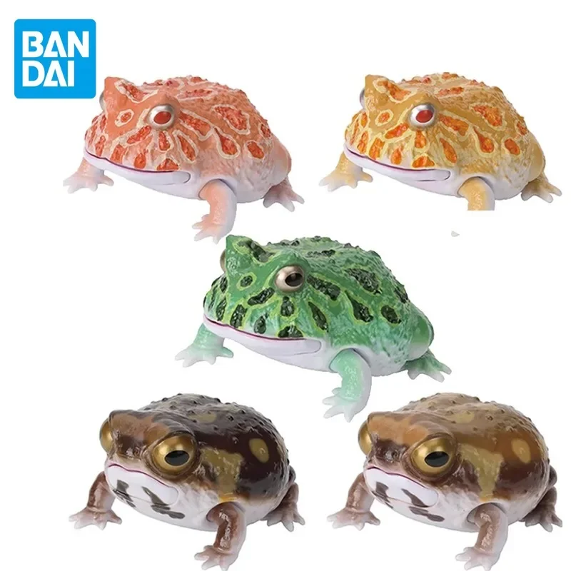 Bandai Biological Encyclopedia, Simulated Horned Frog, Warty Short-headed Frog, Mantou Baby, Animal Figure Collection Model 