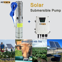 HZUSUN 750W DC 48V Solar Water Pumps Stainless 25M 4500L/H Deep Well Impeller Pumps MPPT Controller Kit for Home Farm Irrigation