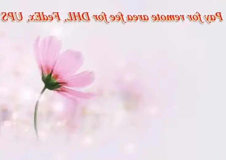 Fuente de hidrógeno JM300, 5 uds., pague la tarifa adicional de envío 20260119