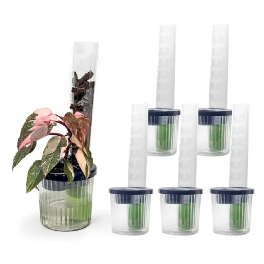 

Medium GrowLid 5 Pcs Royal Blue Self Watering Clear D-Shaped Plastic Moss Pole Hydroponics Growing System Kratky Hydroponic Kit