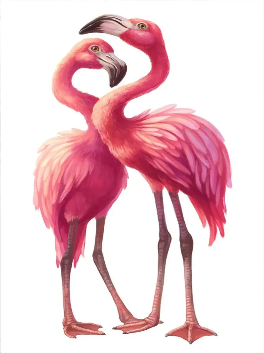 Metal Home Decor Sign 2 Pink Flamingo Love Together Wall Tin Art 8x12 Inches